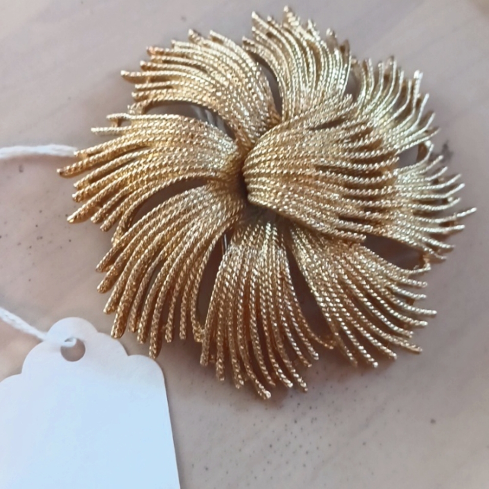 Elegant Gold Brooch with Radiant Design
